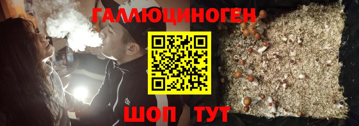 Галлюциногенные грибы Cubensis  Псилоцибиновые грибы GOLDEN TEACHER  Вышний Волочёк  Вход с VPN 